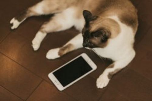 SIMカードについて