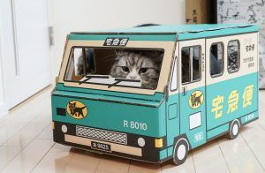 荷物関連