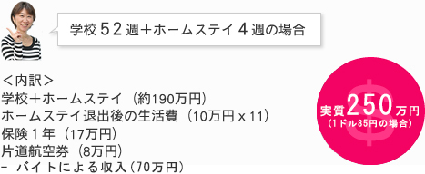 学校52週+ホームステイ4週の場合 約320万円