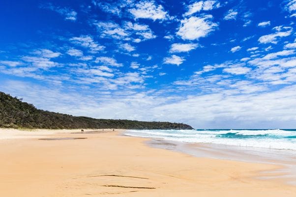 コースト サンシャイン オーストラリアの新定番ビーチ・サンシャインコーストの魅力とは？