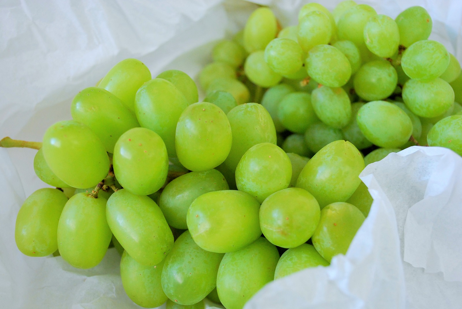 オーストラリアの安くておいしい果物で 美肌 疲労回復 アクティブウーマンブログ